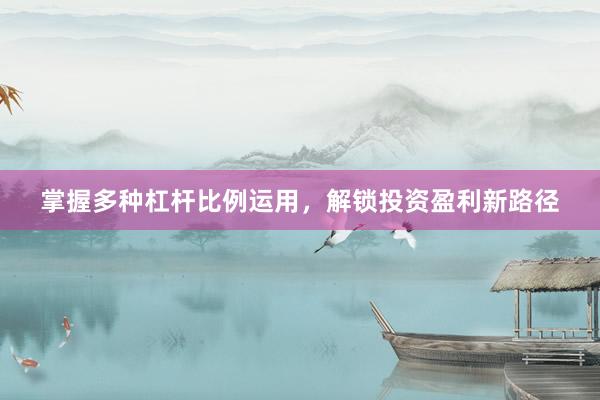 掌握多种杠杆比例运用，解锁投资盈利新路径