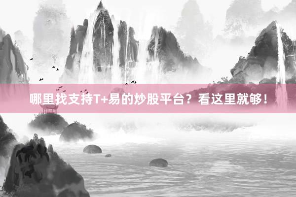 哪里找支持T+易的炒股平台？看这里就够！