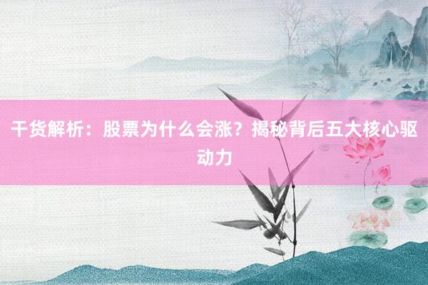 干货解析：股票为什么会涨？揭秘背后五大核心驱动力
