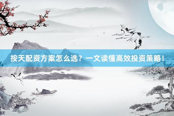 按天配资方案怎么选？一文读懂高效投资策略！