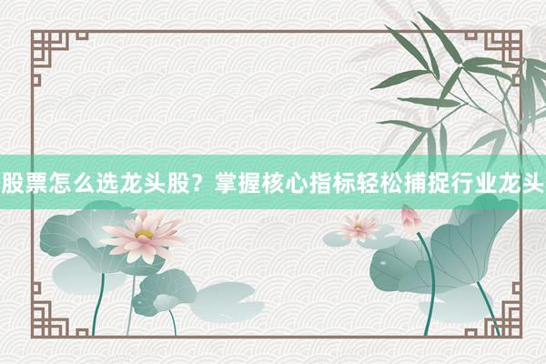 股票怎么选龙头股？掌握核心指标轻松捕捉行业龙头