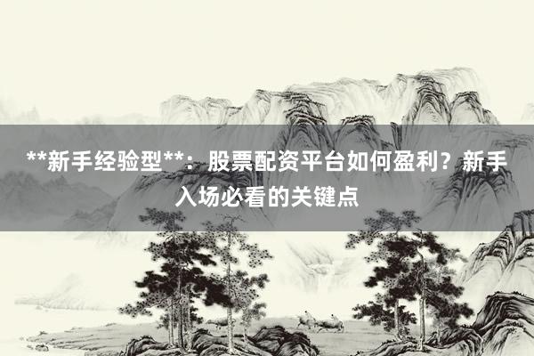 **新手经验型**：股票配资平台如何盈利？新手入场必看的关键点