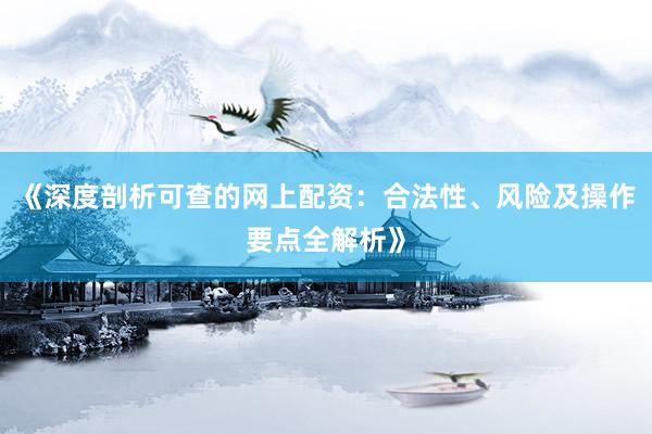 《深度剖析可查的网上配资：合法性、风险及操作要点全解析》