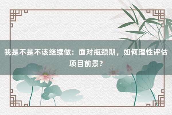 我是不是不该继续做：面对瓶颈期，如何理性评估项目前景？