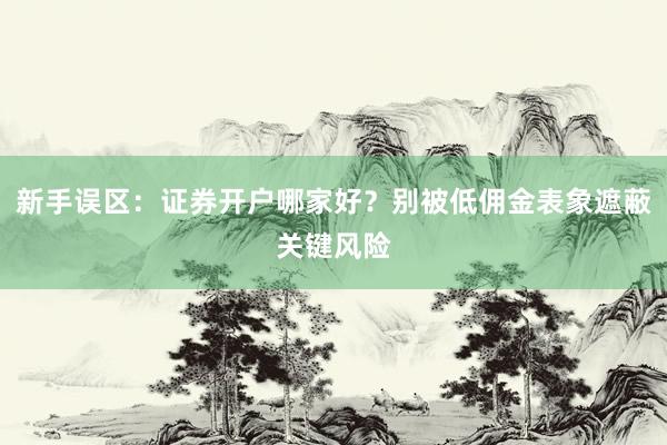新手误区：证券开户哪家好？别被低佣金表象遮蔽关键风险