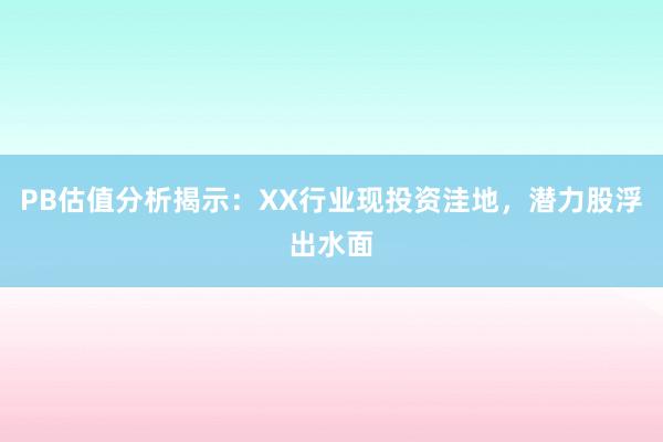 PB估值分析揭示：XX行业现投资洼地，潜力股浮出水面