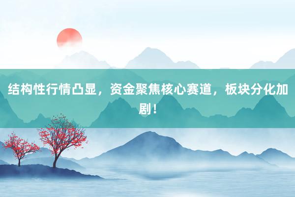 结构性行情凸显，资金聚焦核心赛道，板块分化加剧！