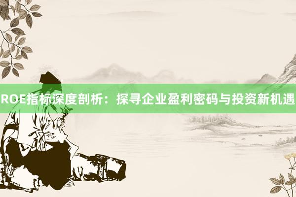 ROE指标深度剖析：探寻企业盈利密码与投资新机遇