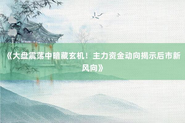 《大盘震荡中暗藏玄机！主力资金动向揭示后市新风向》