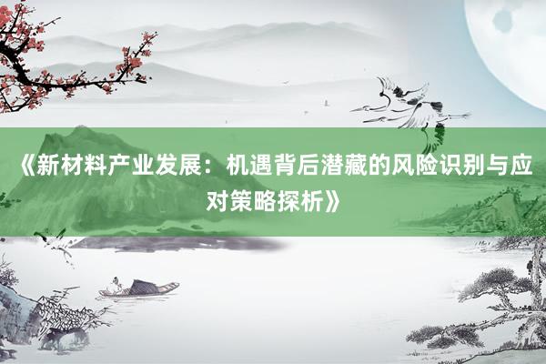 《新材料产业发展：机遇背后潜藏的风险识别与应对策略探析》