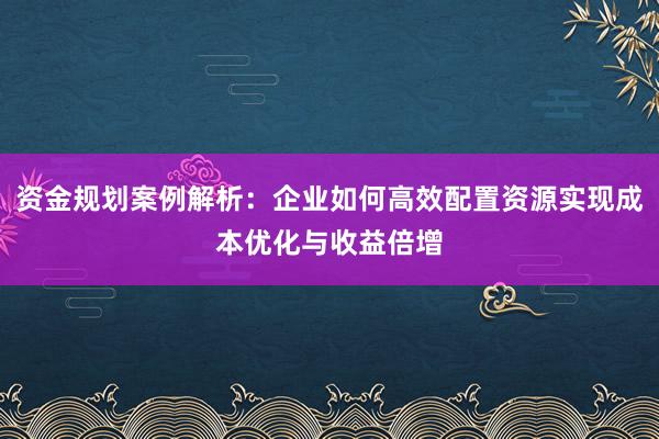 资金规划案例解析：企业如何高效配置资源实现成本优化与收益倍增