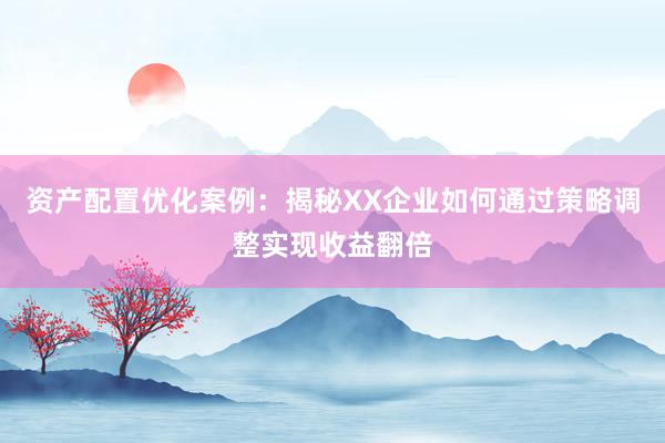 资产配置优化案例：揭秘XX企业如何通过策略调整实现收益翻倍