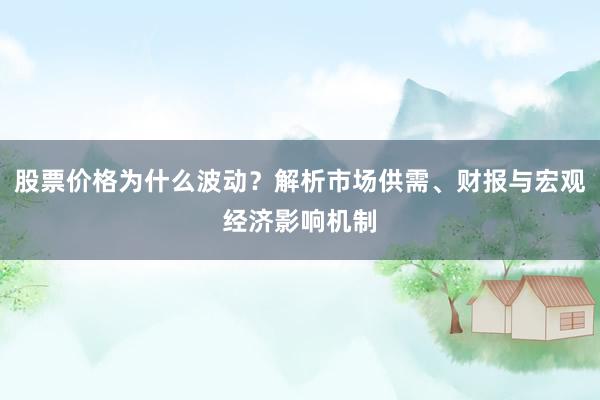 股票价格为什么波动？解析市场供需、财报与宏观经济影响机制