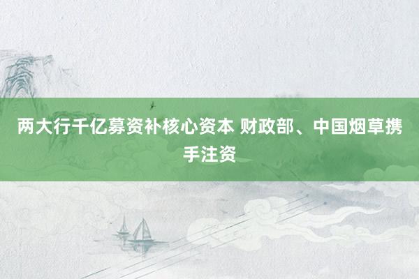 两大行千亿募资补核心资本 财政部、中国烟草携手注资