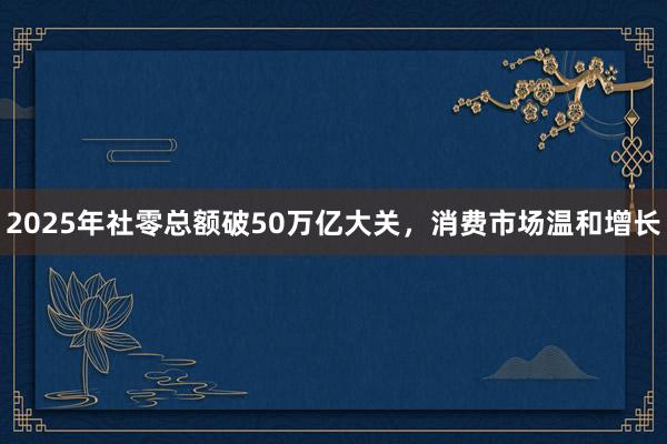 2025年社零总额破50万亿大关，消费市场温和增长