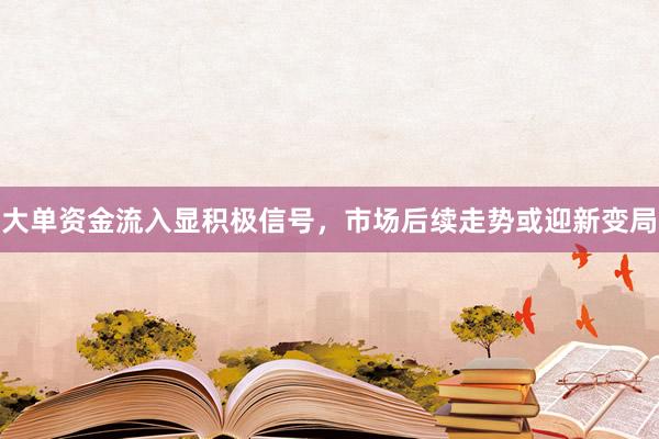 大单资金流入显积极信号，市场后续走势或迎新变局